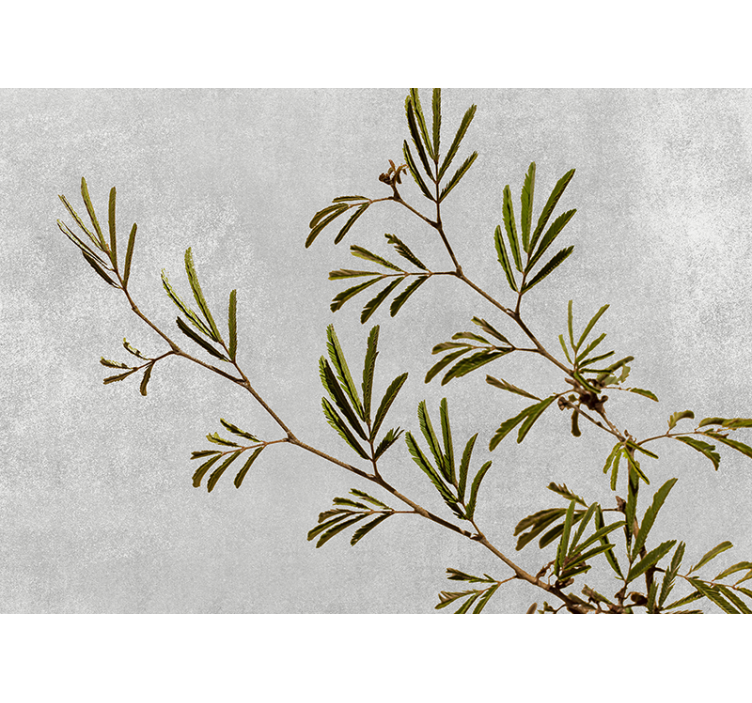 Delicate Greenery Branch nature wall mural - TenStickers