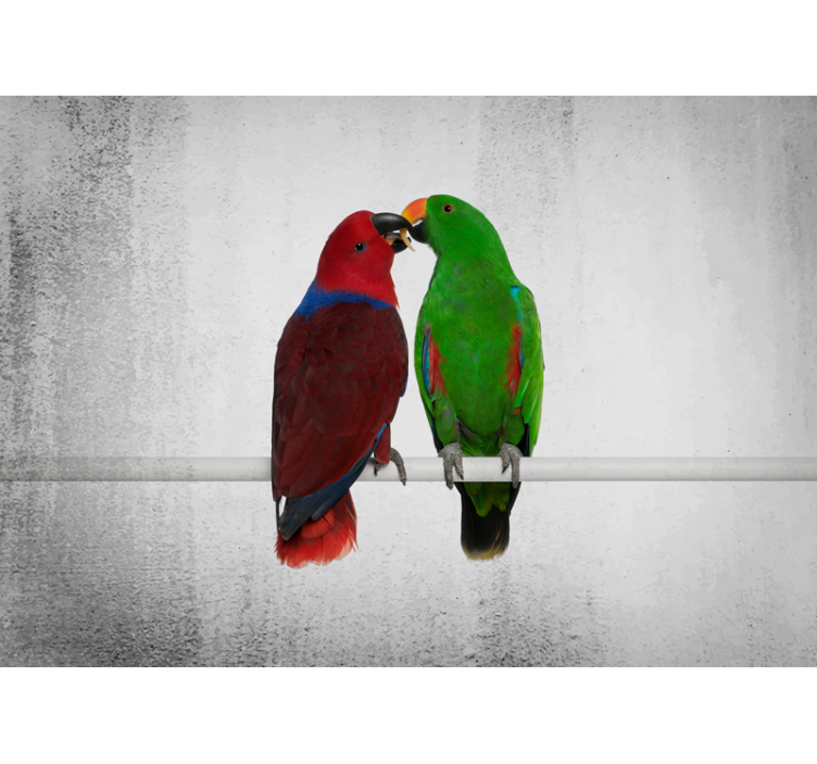Wall mural colorful parrots interaction - TenStickers