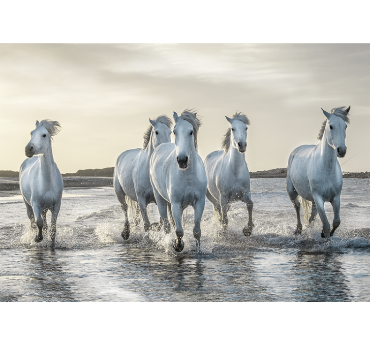 White and brown horses running on beach mural - TenStickers