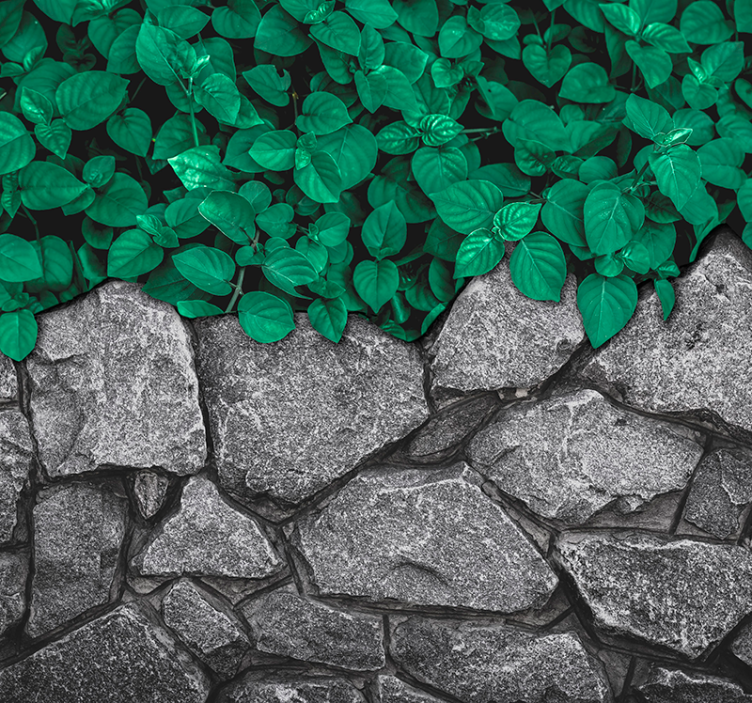 Lush Greenery Contrast nature wall mural - TenStickers