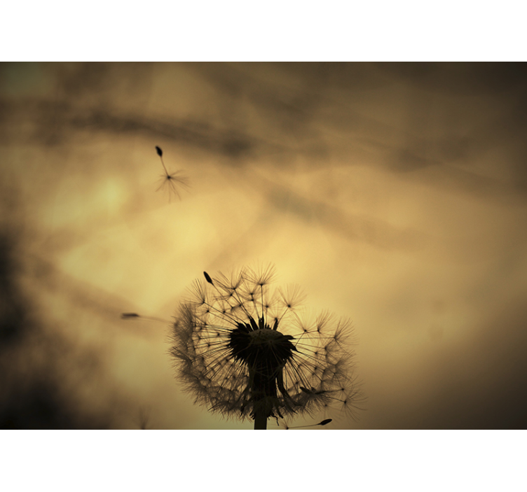 Dandelion mural dandelion silhouette - TenStickers