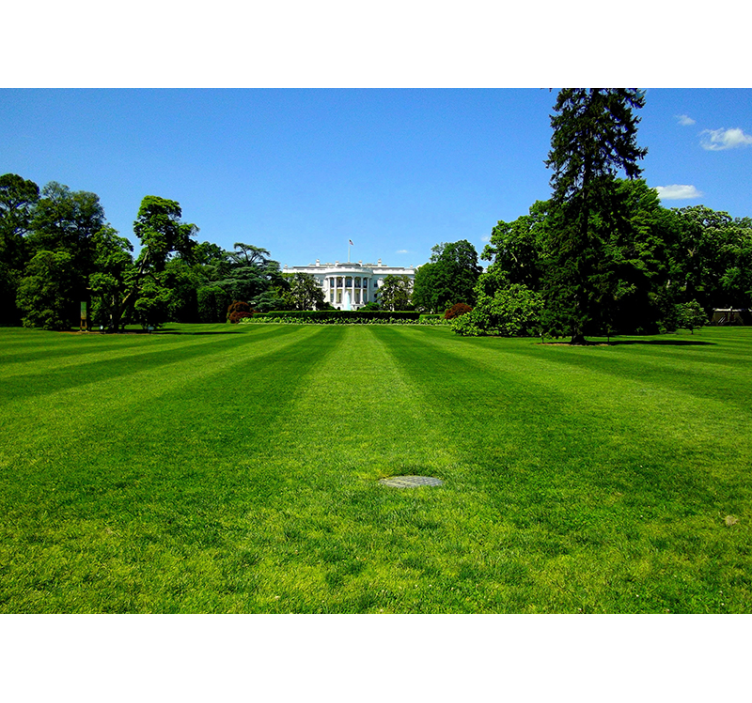 White House - Washington wall mural - TenStickers