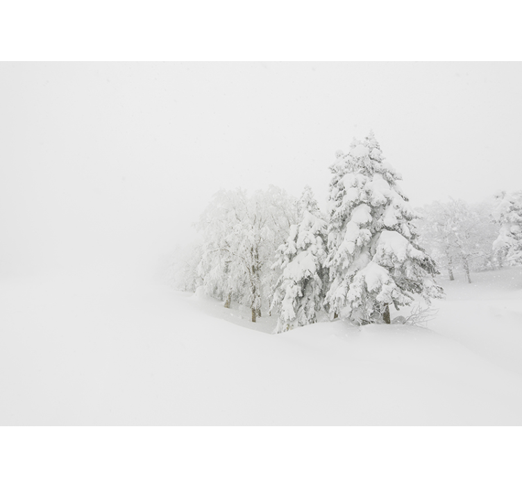 Nature wall mural winter forest landscape - TenStickers