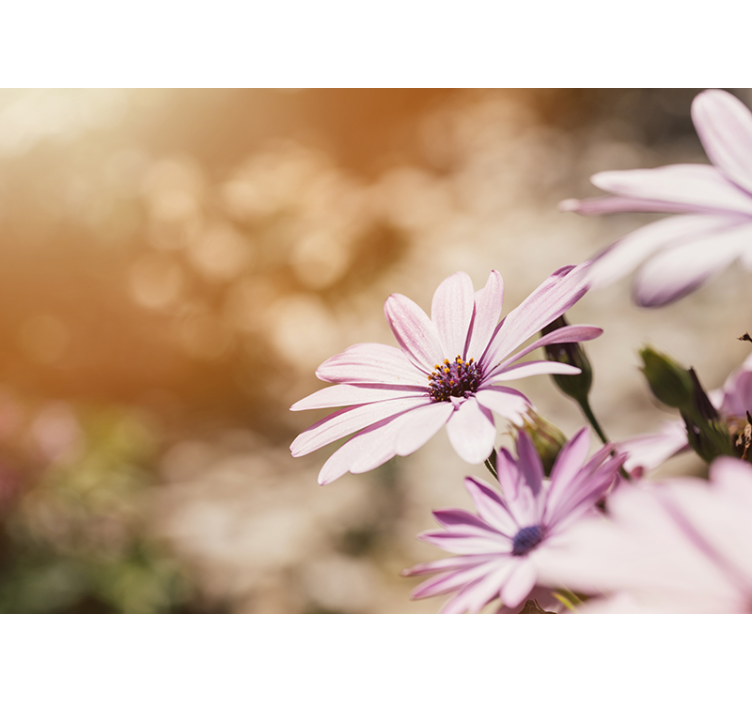 Flower mural pink blossom design - TenStickers