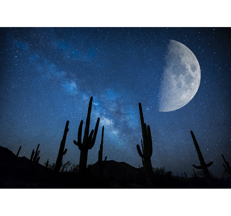 Cactus Night Sky landscape mural wallpaper - TenStickers