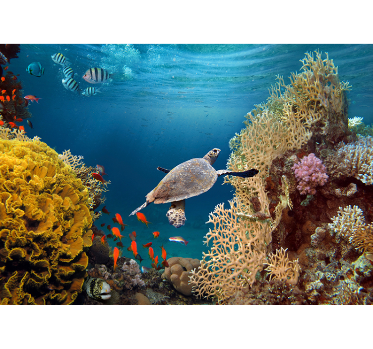 Sea Turtle Underwater animal wall mural - TenStickers