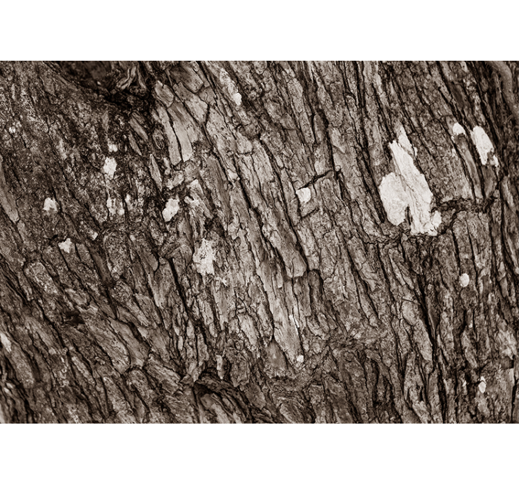 Wall mural textured tree bark design - TenStickers