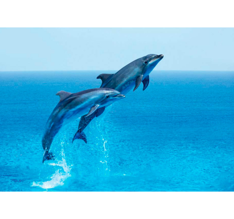 Animal wall mural dolphins leaping playfully - TenStickers