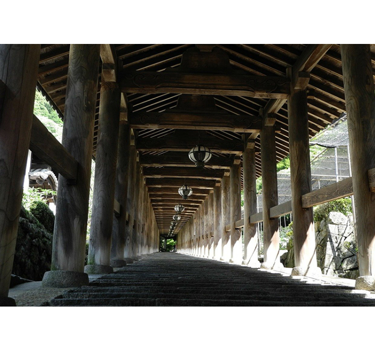 Forest wall mural wooden pathway view - TenStickers