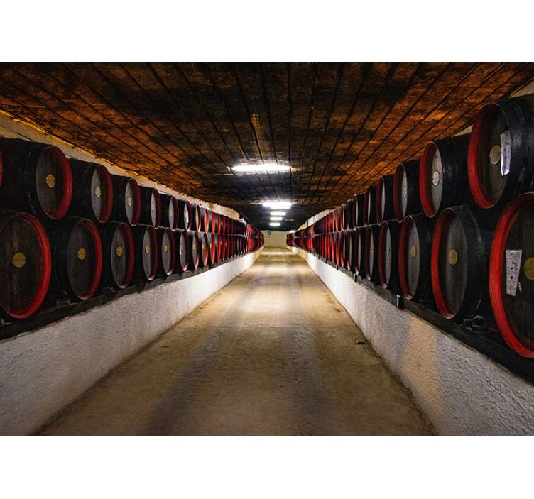 City wall mural wine barrel passageway - TenStickers