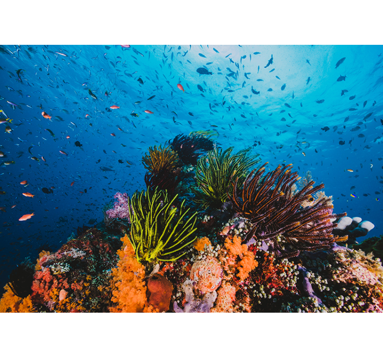 Sea mural underwater coral wonderland - TenStickers