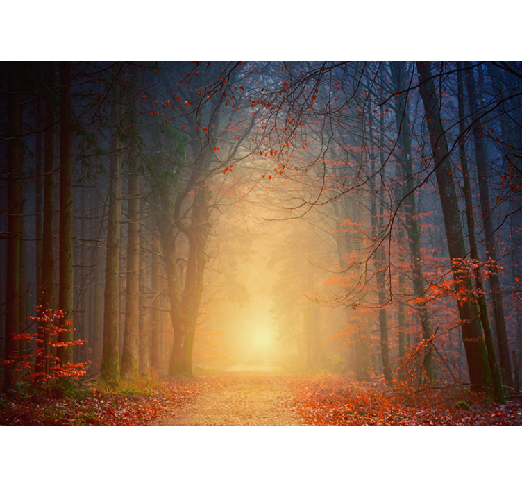 Mist-shrouded Autumn Trees forest wall mural - TenStickers