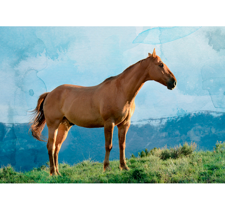 Majestic Horse Presence animal wall mural - TenStickers