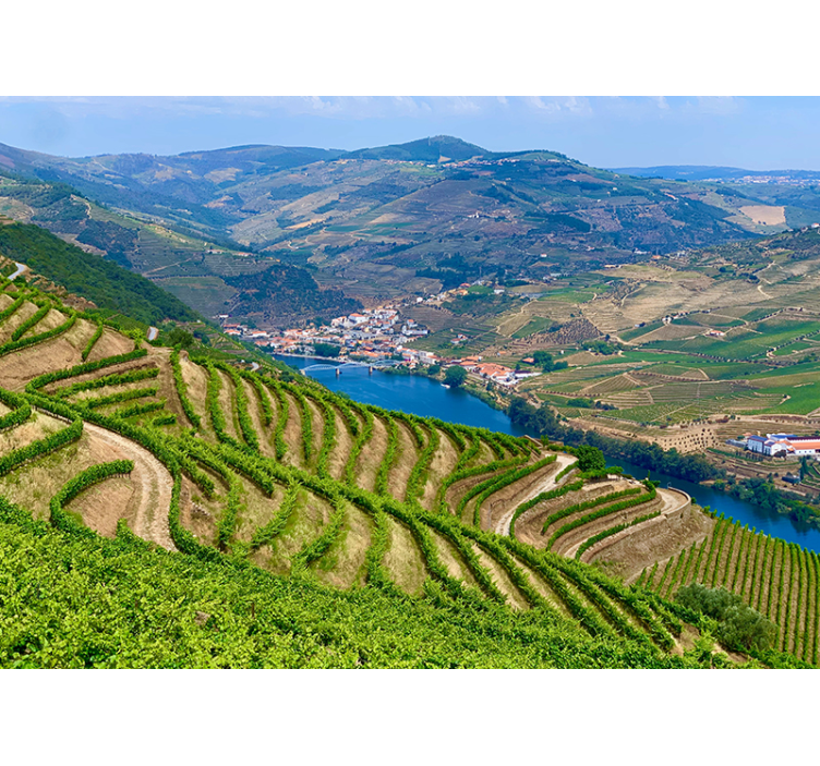 Vineyard valley river landscape mural wallpaper - TenStickers
