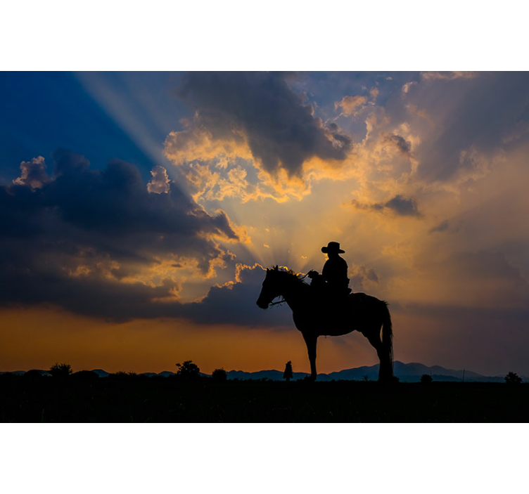 Animal wall mural rider on steed - TenStickers