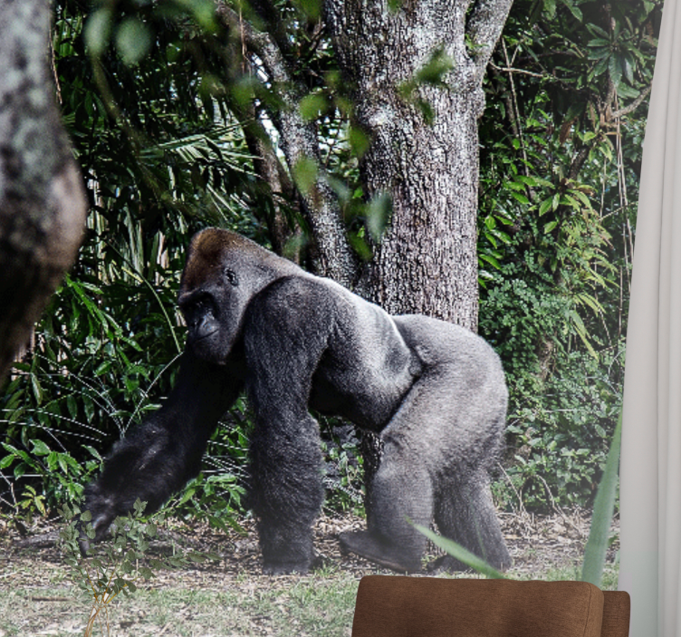 Animal wall mural majestic gorilla strolling - TenStickers