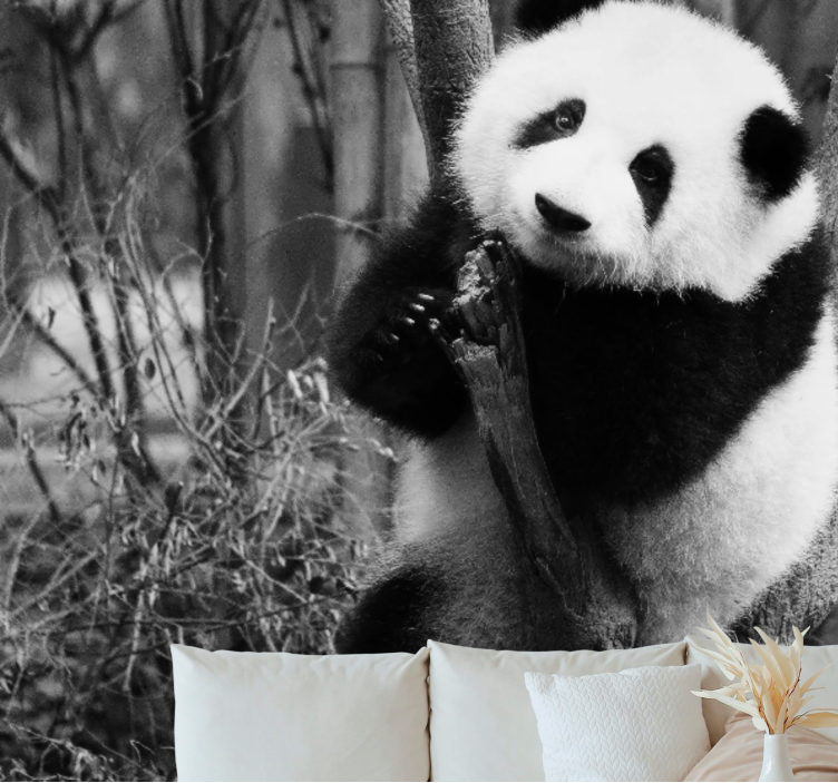 Animal wall mural panda on tree - TenStickers