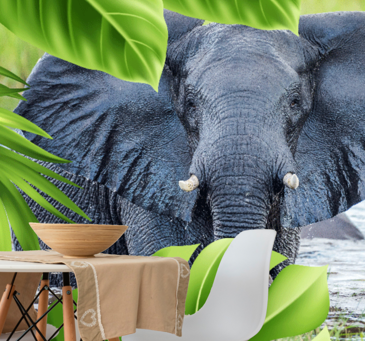 Animal wall mural regal elephant experience - TenStickers