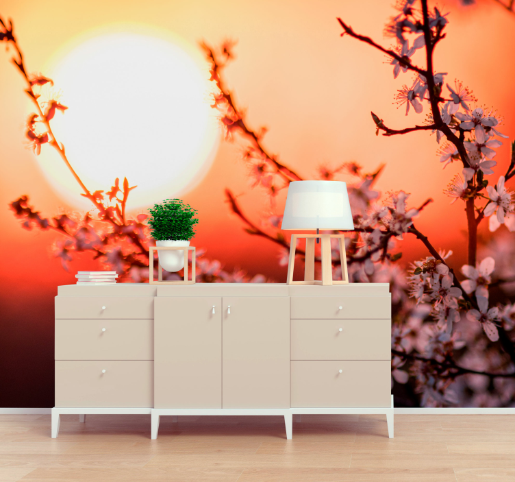 Apricot blossoms with sunset wall mural - TenStickers