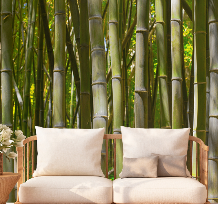 Bamboo wall mural serene bamboo grove - TenStickers
