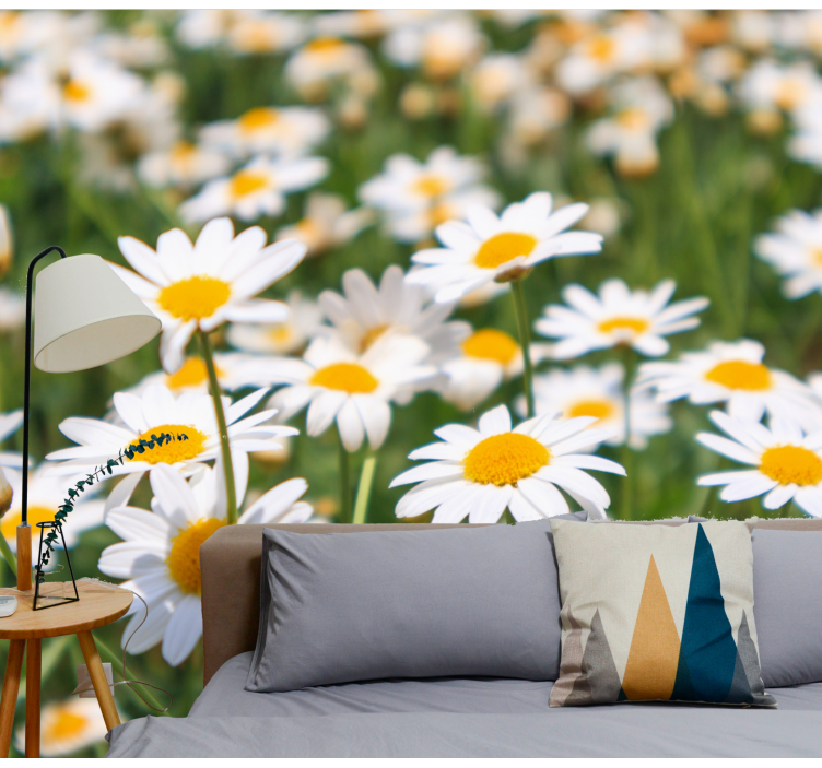 Daisy flowers field wall mural - TenStickers