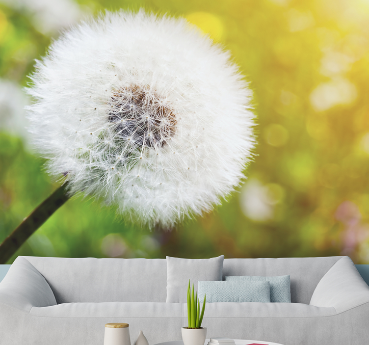 Dandelion in the sun Lion Teeth Wall Mural - TenStickers