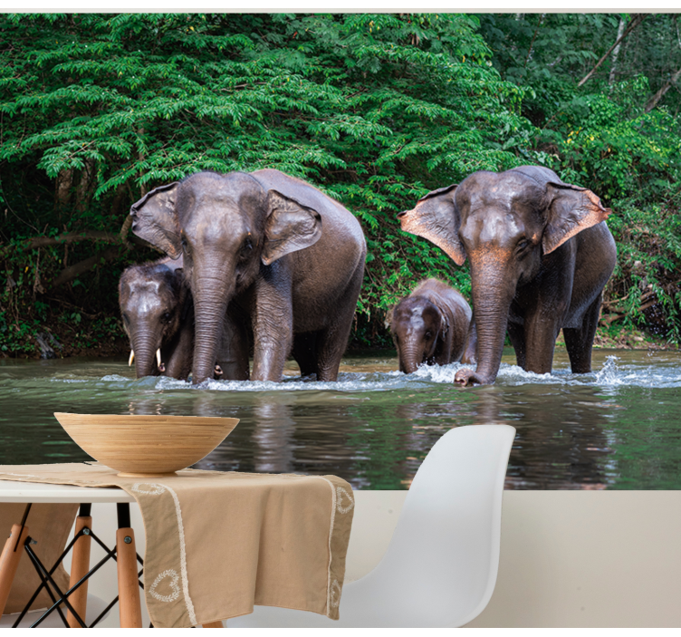 Elephants in Water animal wall mural - TenStickers