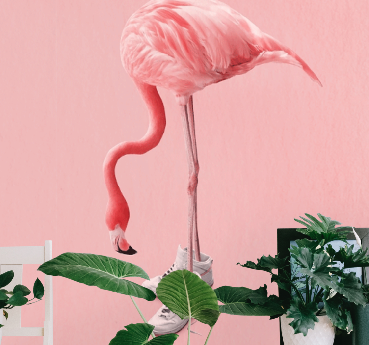 Flamingo with sneakers living room wall mural - TenStickers