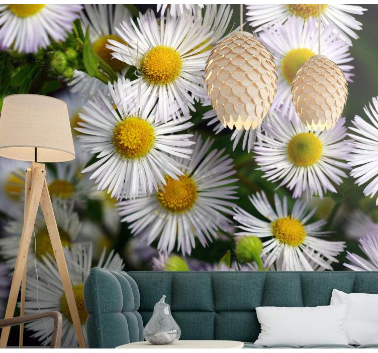 Flower mural charming white daisies - TenStickers