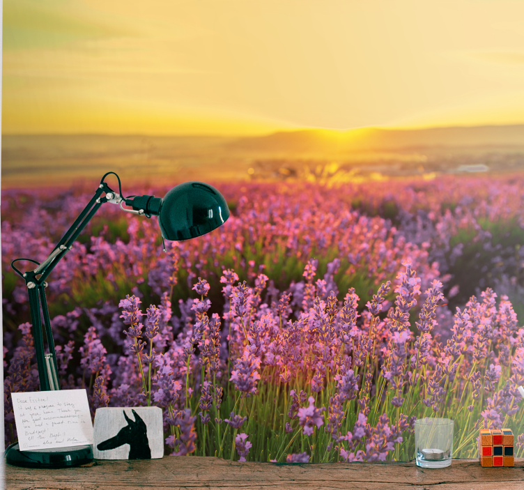 Flower mural lavender meadow twilight - TenStickers