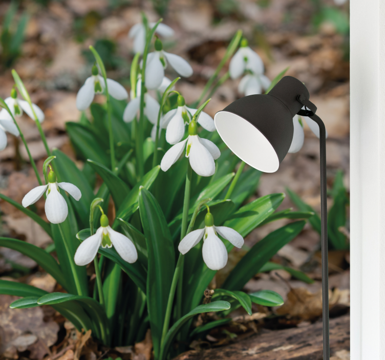 Flower mural snowdrop flower arrangement - TenStickers