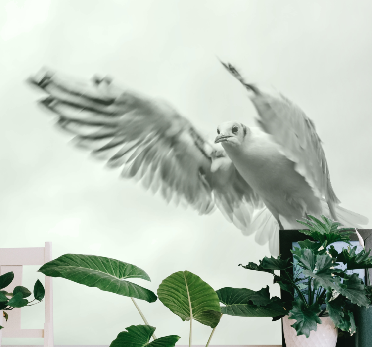 Flying white bird animal wall mural - TenStickers