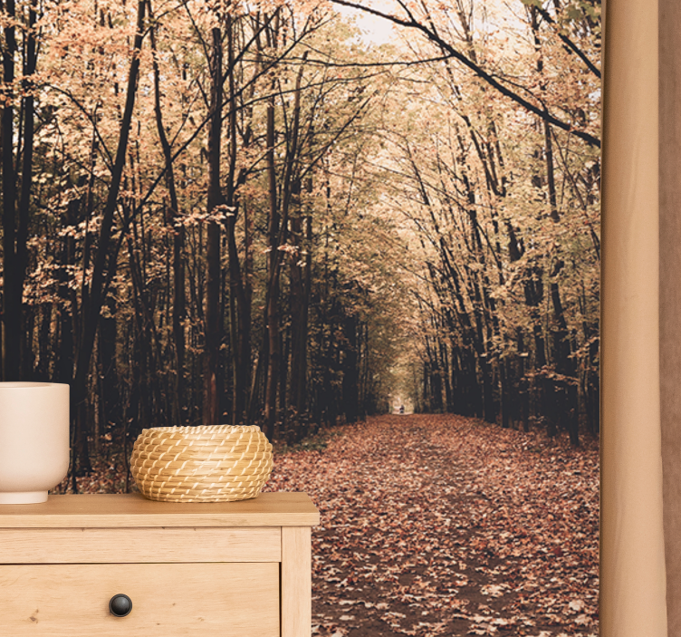 Forest wall mural autumn pathway view - TenStickers