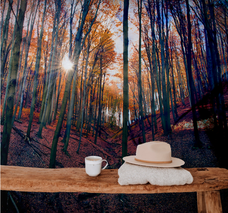 Forest wall mural sunlit autumn forest - TenStickers
