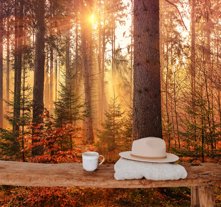 Forest wall mural sunlit forest glow - TenStickers