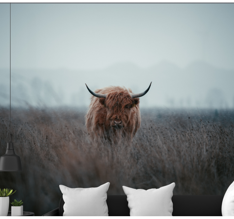 Highland Cow pastures wall mural - TenStickers