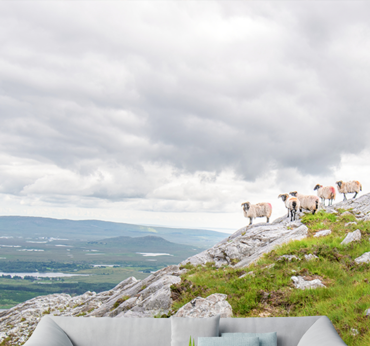 Lambs on slopes wall mural - TenStickers