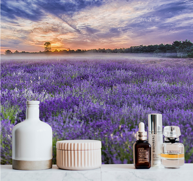 Lavender field colours nature wall mural - TenStickers