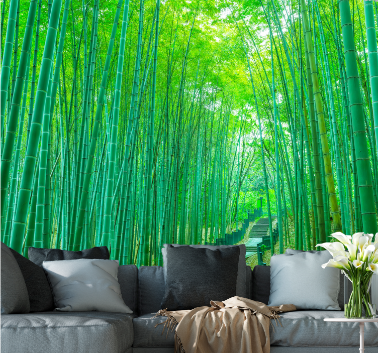 Light bamboo  path nature wall mural - TenStickers