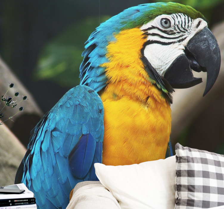 Macaw Bird Portrait animal wall mural - TenStickers