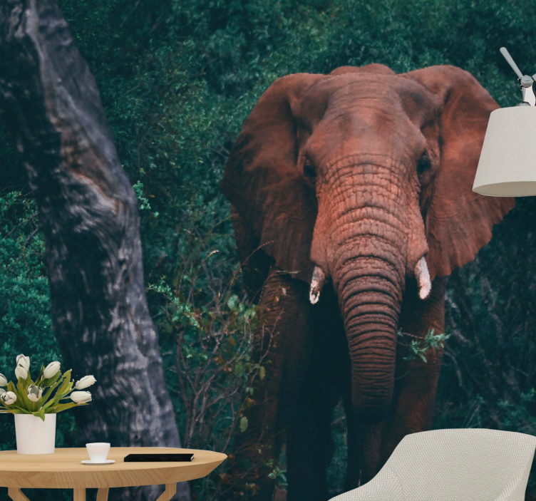 Majestic elephant presence animal wall mural - TenStickers