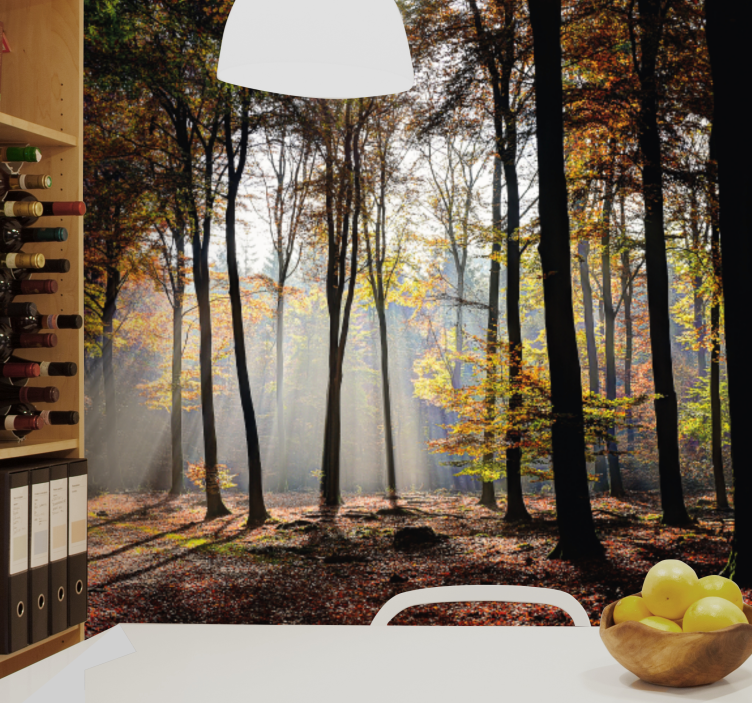 Nature wall mural autumn forest light - TenStickers