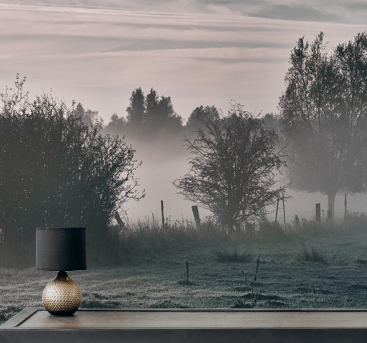 Nature wall mural foggy woodland scene - TenStickers