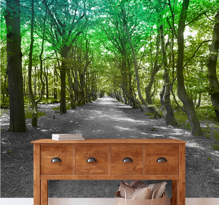 Nature wall mural lush tree pathway - TenStickers