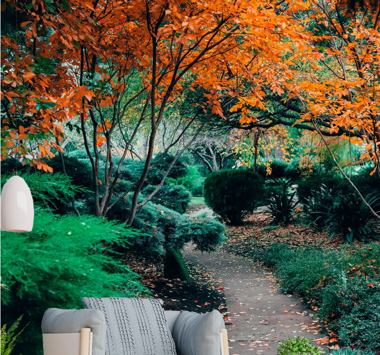 Nature wall mural pathway through trees - TenStickers