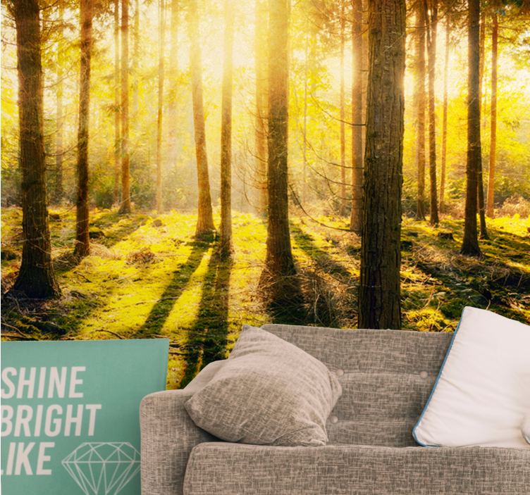 Nature wall mural sunlit forest scenery - TenStickers