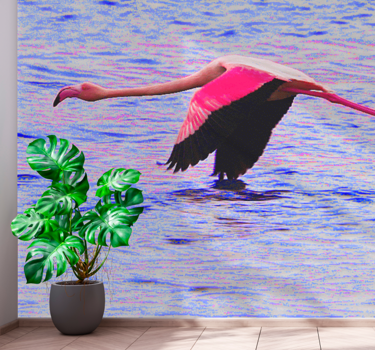 Nice shot flamingo on water wall mural - TenStickers