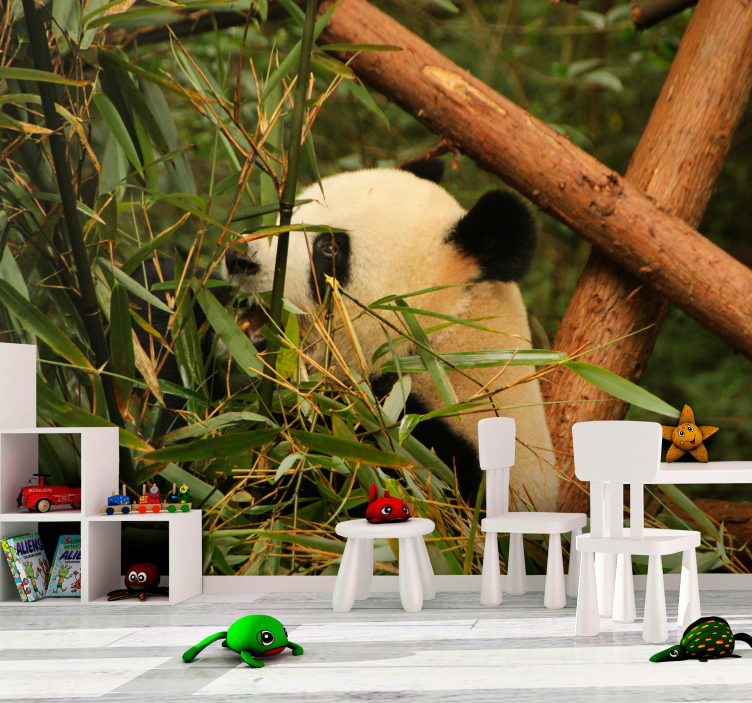Panda Among Bamboo animal wall mural - TenStickers