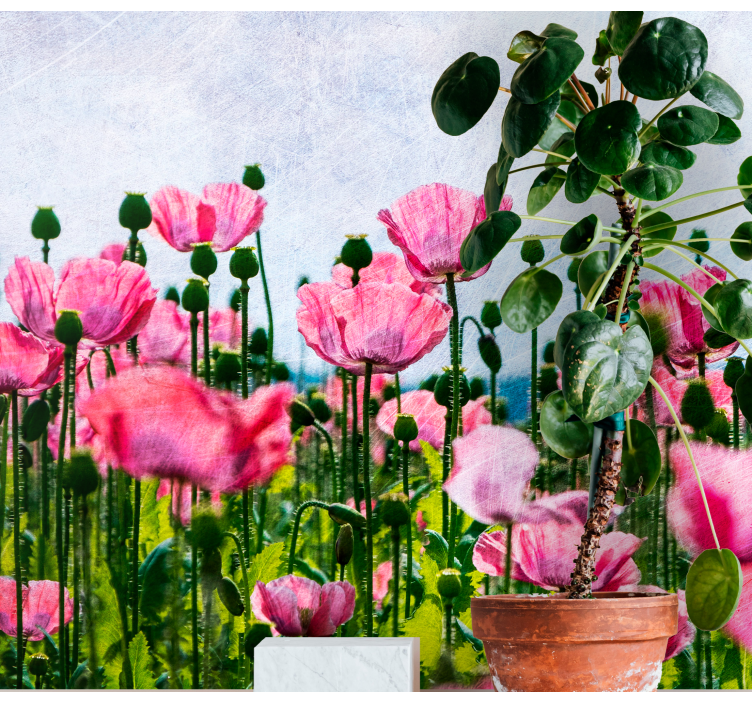 Poppies Bloom Panorama flower mural - TenStickers