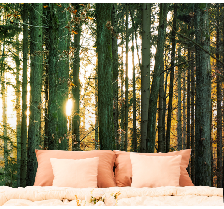 Radiant Woodland View forest wall mural - TenStickers